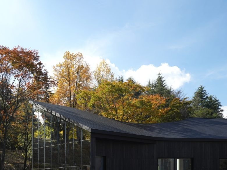 Фрагмент крыши с панорамным остеклением на фоне осеннего леса Tan Mok Won