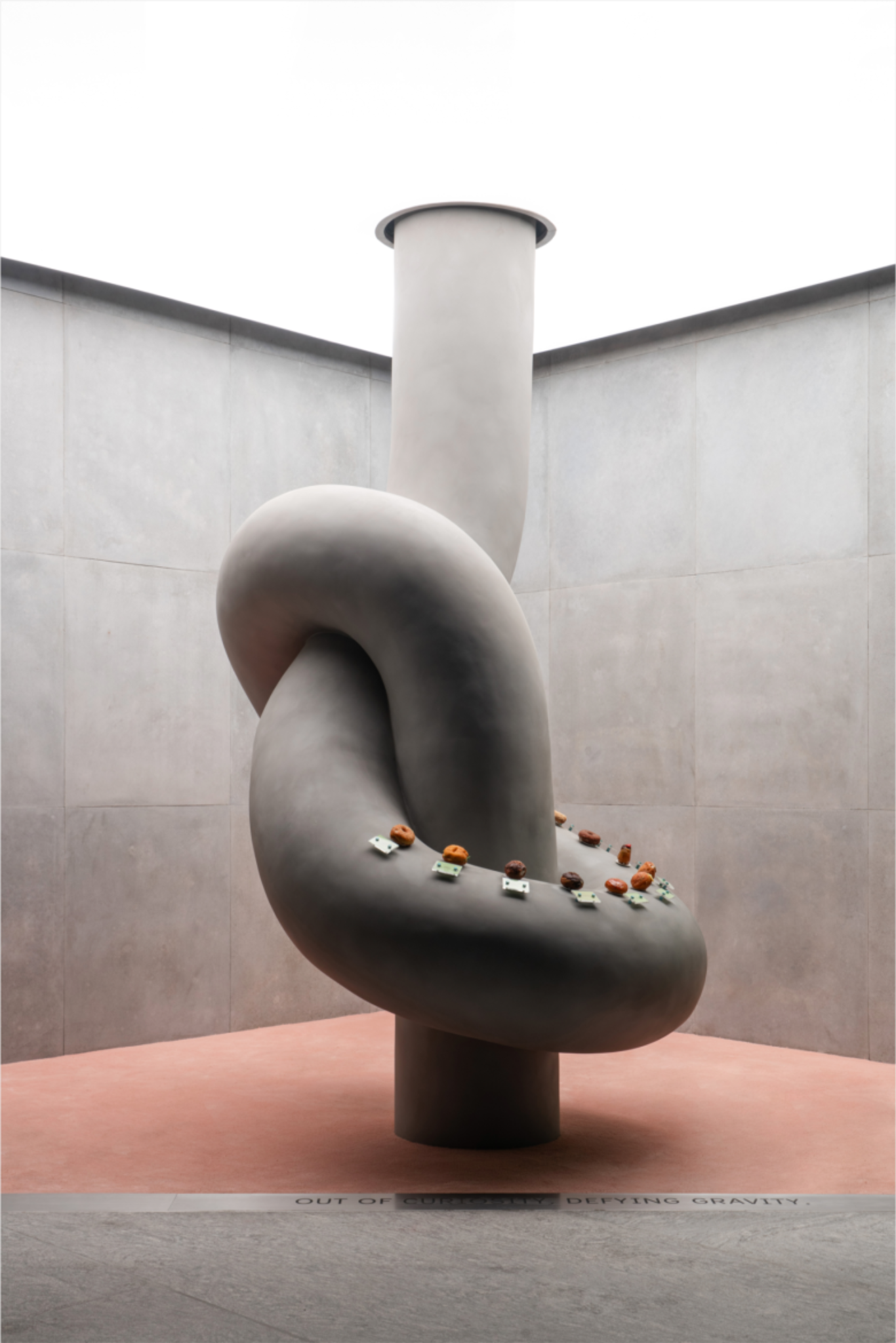 Крупный план скульптурной изогнутой трубы с объектами Donut of Curiosity store