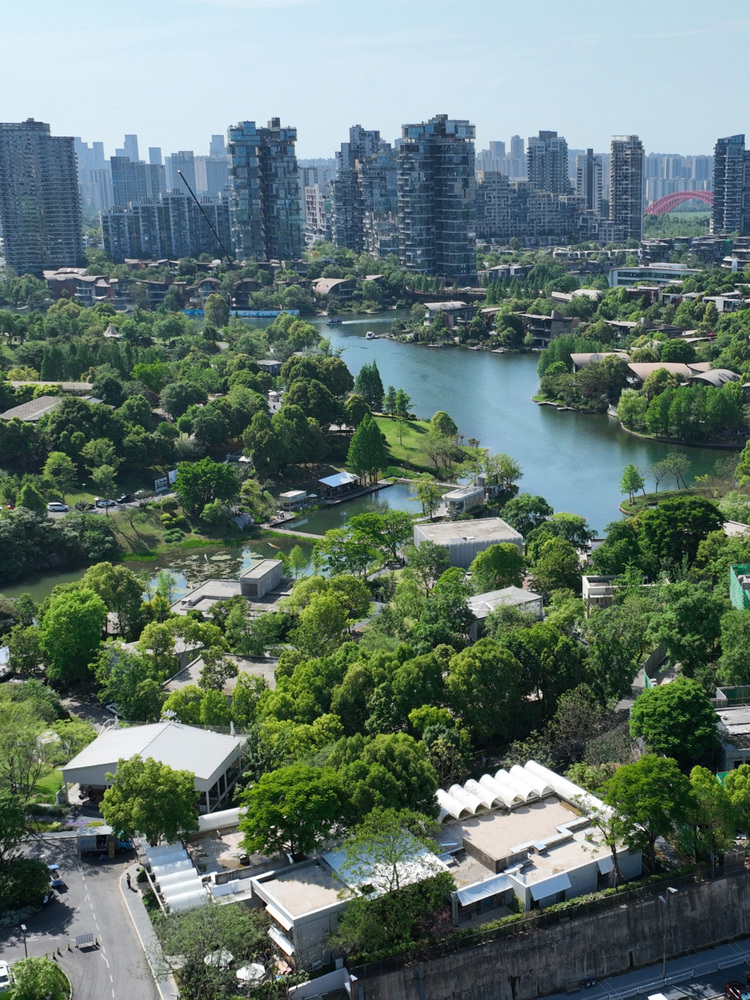 Панорамный вид на рынок KOKO и парк