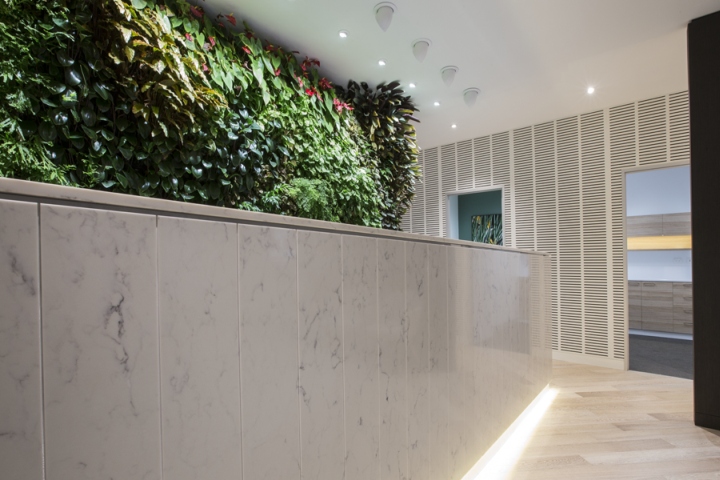 Вертикальный сад в интерьере клиники премиум-класса Park Clinic в Сиднее