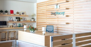 Шикарный дизайн офиса DogVacay