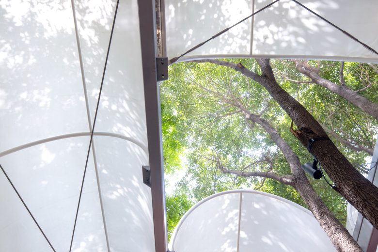 Вид снизу на навес и кроны деревьев рынка KOKO