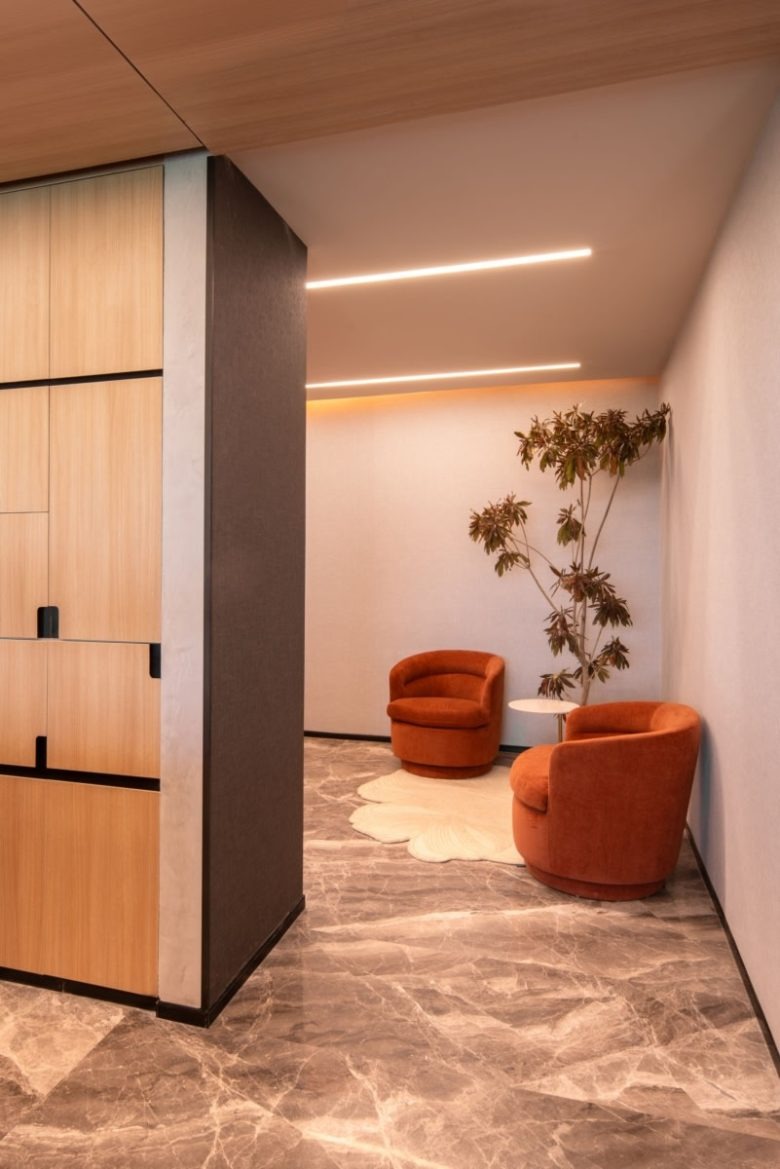 Зона отдыха с креслами и растением Confidential Client Offices