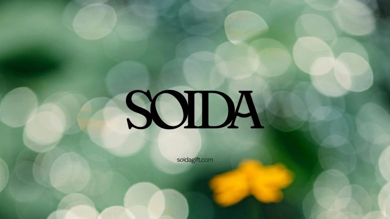 бренд Soida