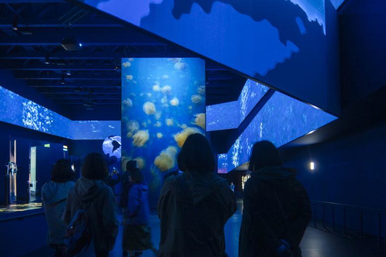 голубой зал с экранами Spanish Pavilion at Expo Osaka 2025