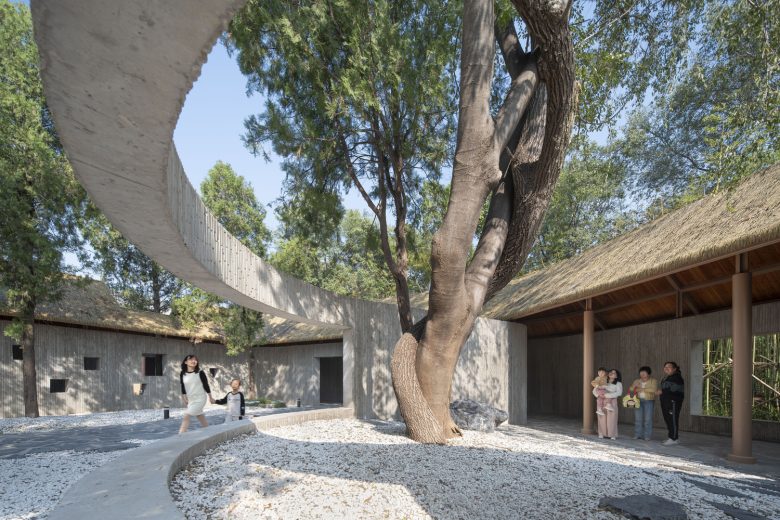 инсталляция с деревом Revitalization of The Relic Site of Yongle Palace