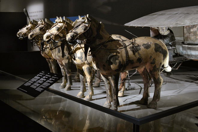 Выставка в историческом музее включает фигуры терракотовых животных