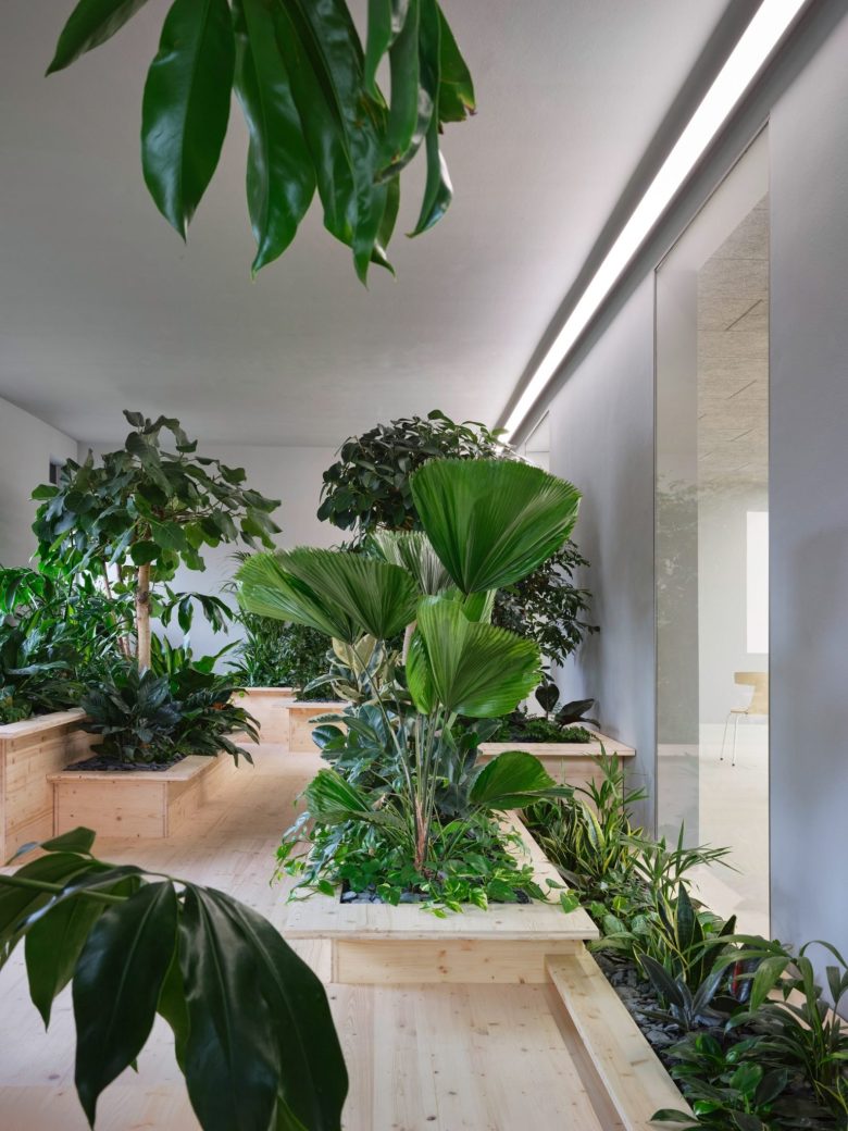 комната отдыха Pradtke office с зеленью