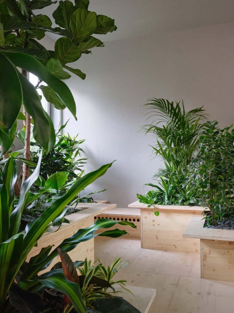 комната с зелеными насаждениями Pradtke office