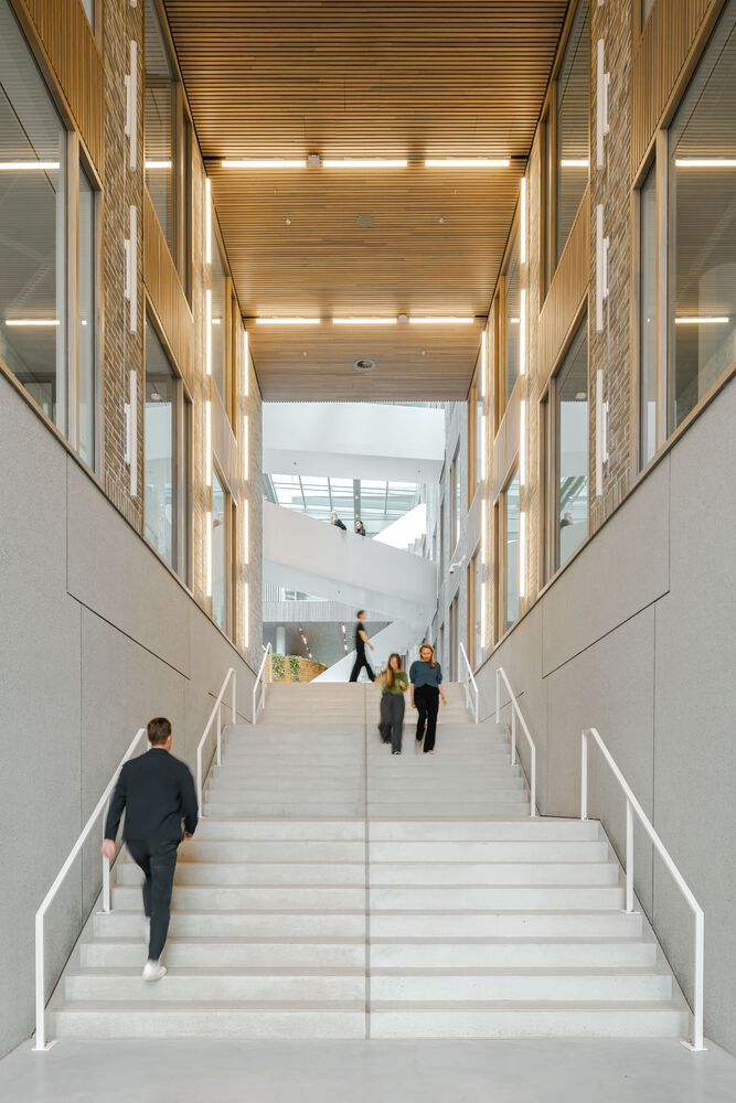 лестница между корпусами 5TRACKS