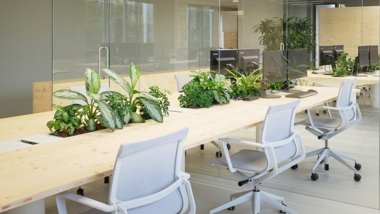 рабочие места Pradtke office