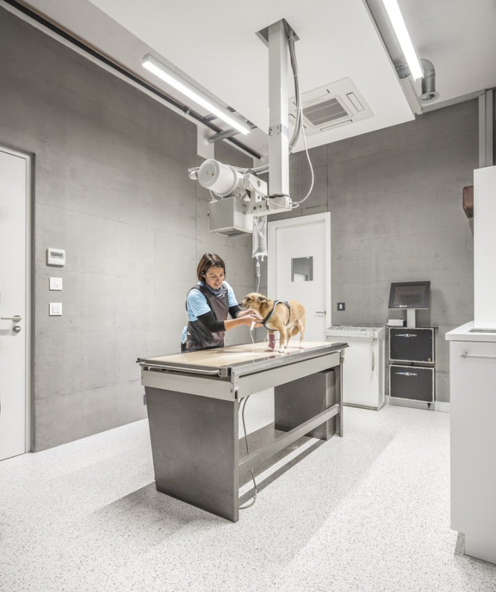 Интерьер кабинета ветеринарной клиники Veterinary Clinic Masans