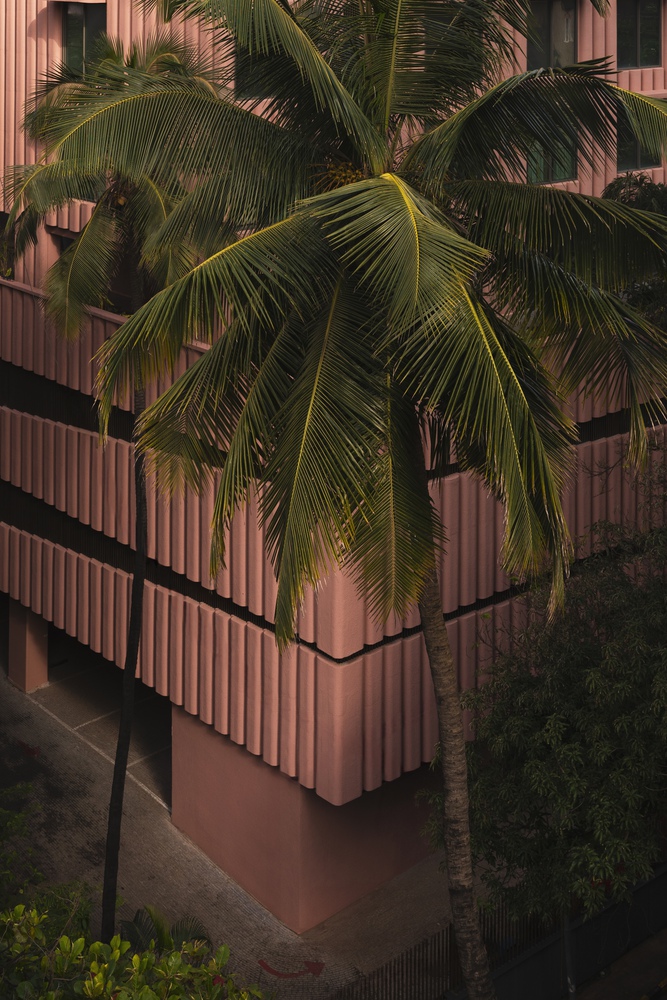 вид на здание Satguru’s Rendezvous вечером