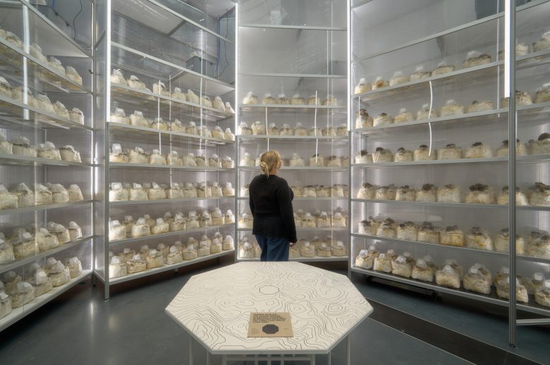 зал со стеллажами Age of Nature