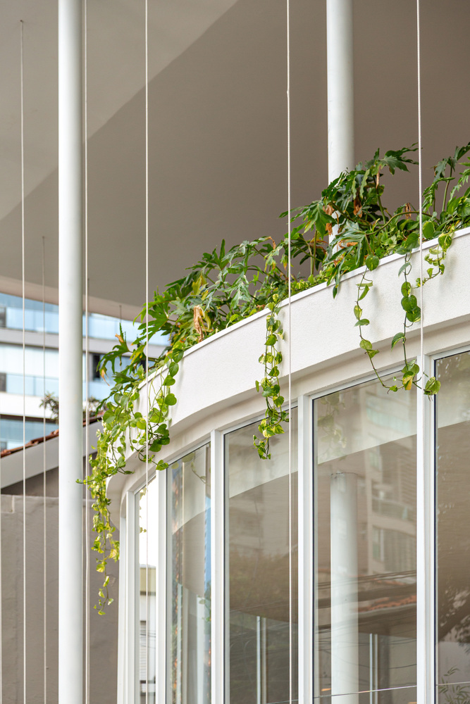 зелень на крыше павильона Pavilion Tess